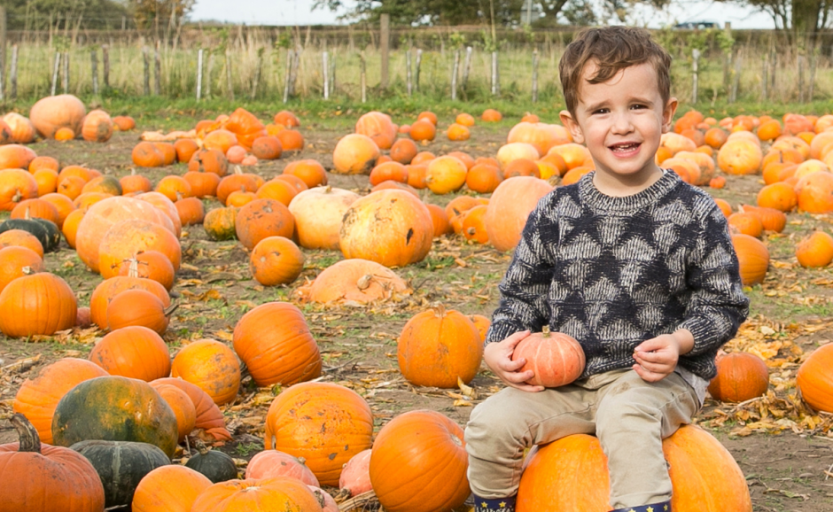 picture of a child at a pumpkin picking event in Lincolnshire
