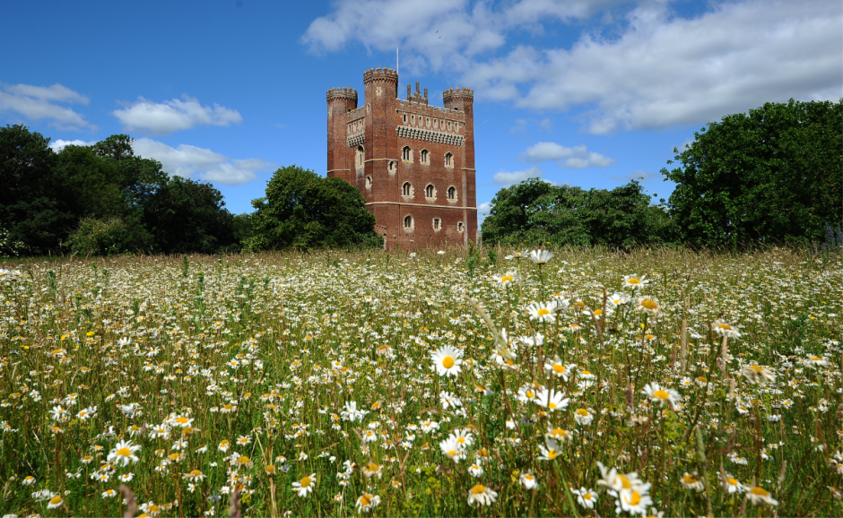 picture of Tattershall Castle, Lincolnshire in the distance over a field of flowers