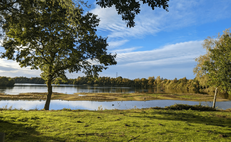 A sight to  behold. A grassland with a lake and a line of trees on the other side.