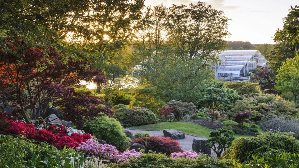 Views across RHS Garden Wisley to the Glasshouse