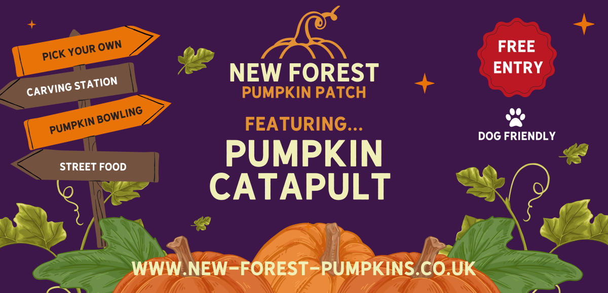 New Forest Pumpkin Patch Advert