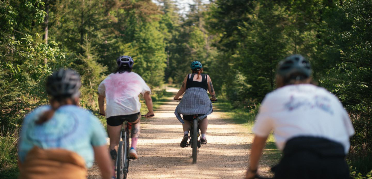 The Woods Cyclery - 4 people cycling in the New Forest