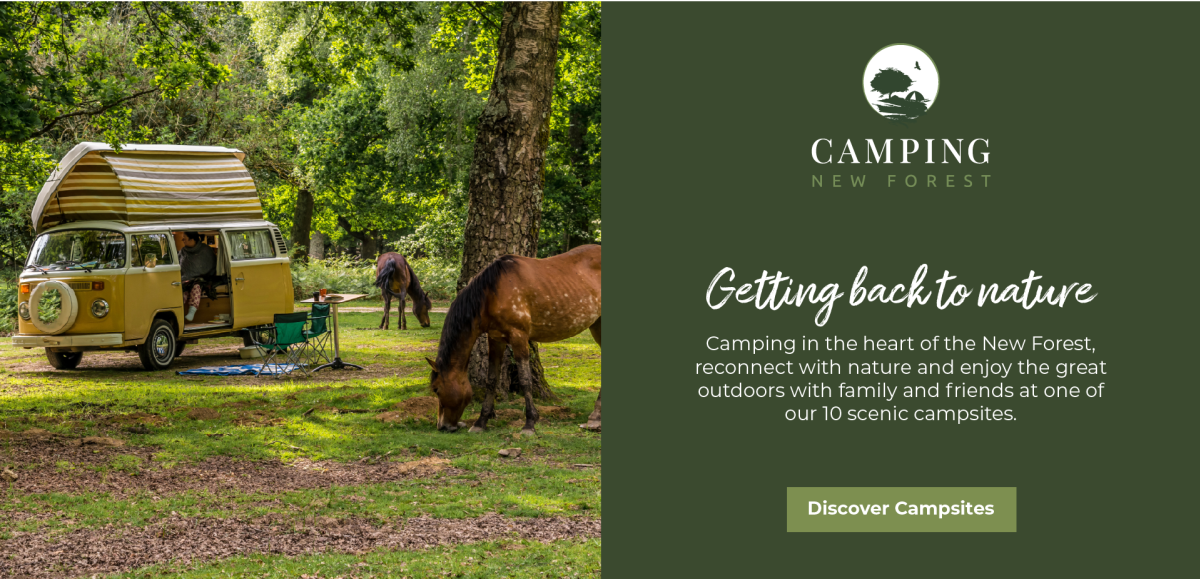 Camping New Forest Banner Ad