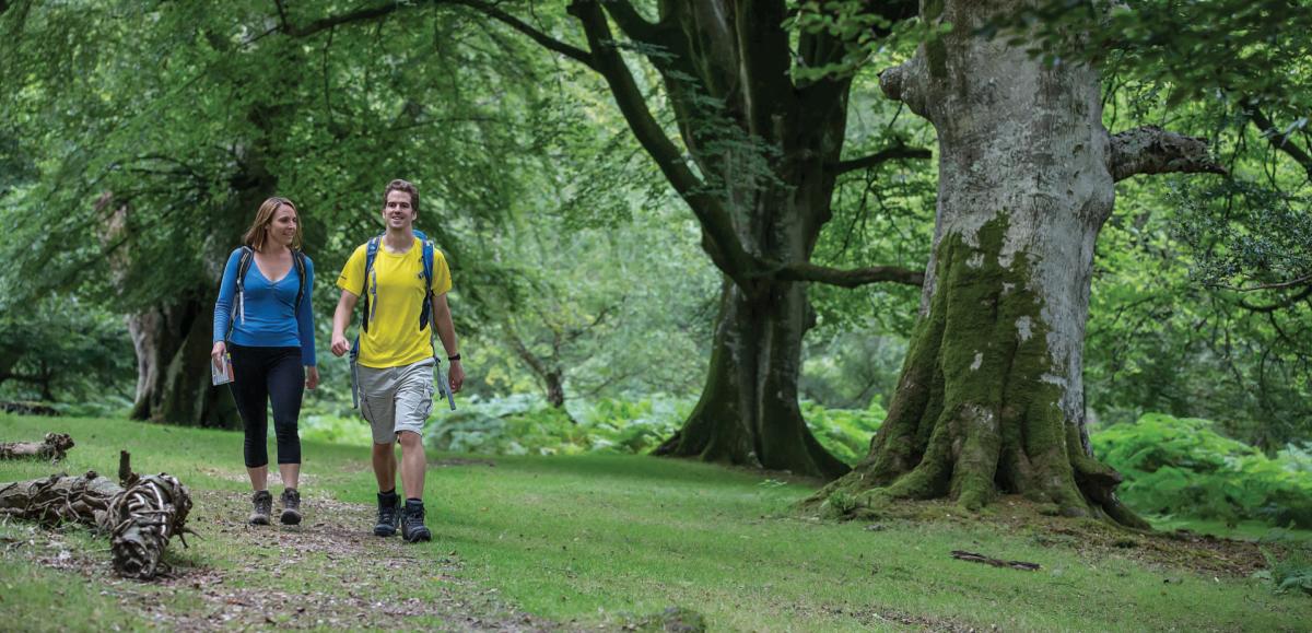 Couple hiking in ancient woodland in the New Forest