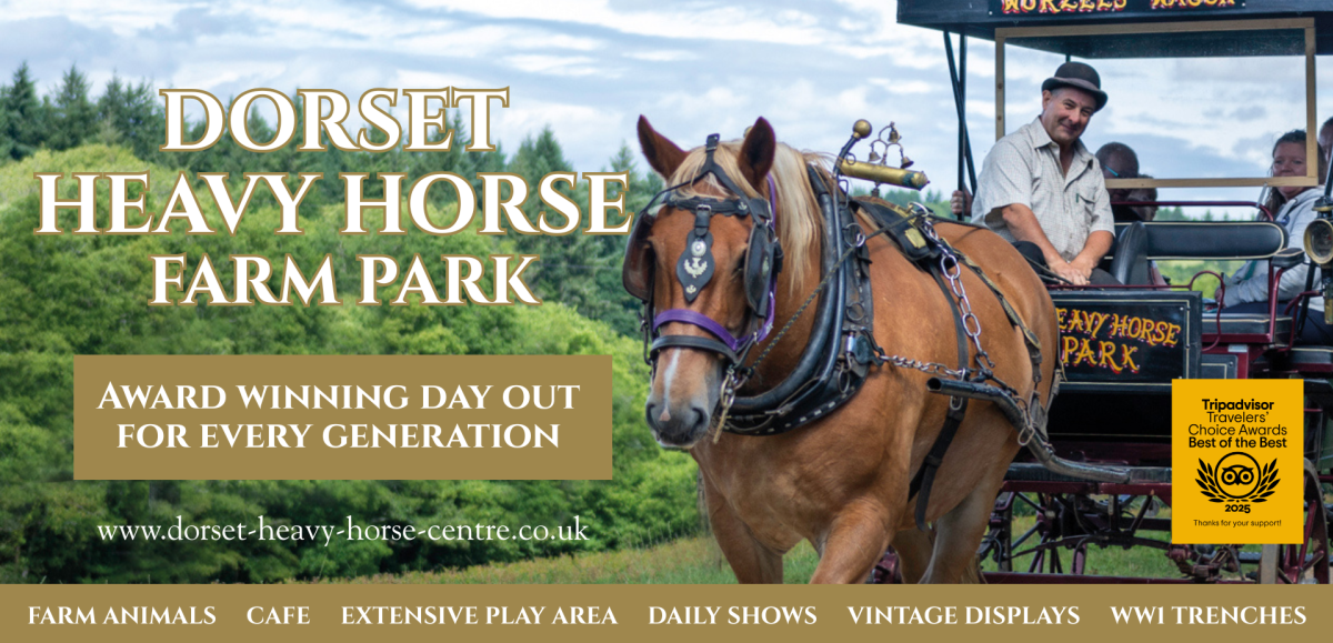 Dorset Heavy Horse Banner Advertising Banner 2026