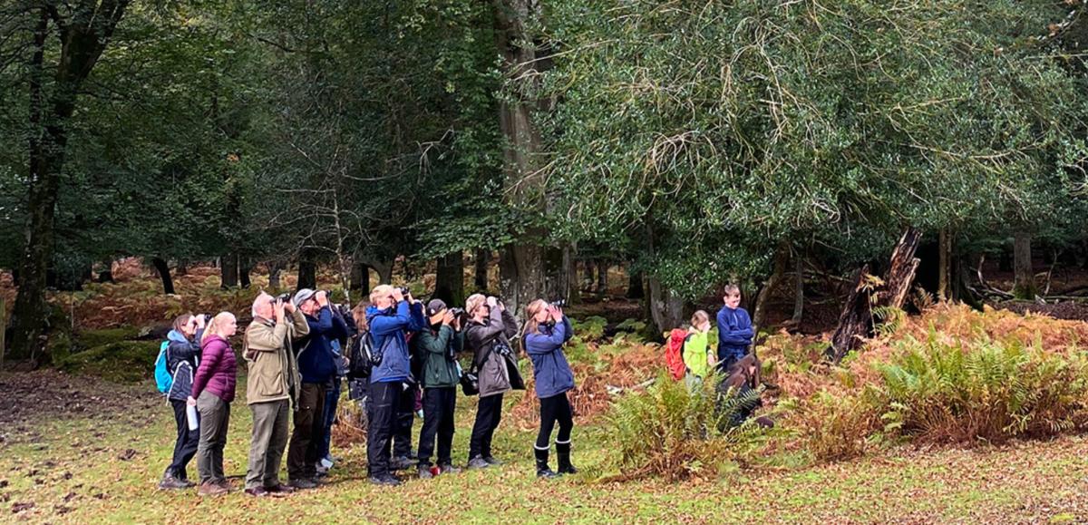 Guided walking event with Wild New Forest in the New Forest