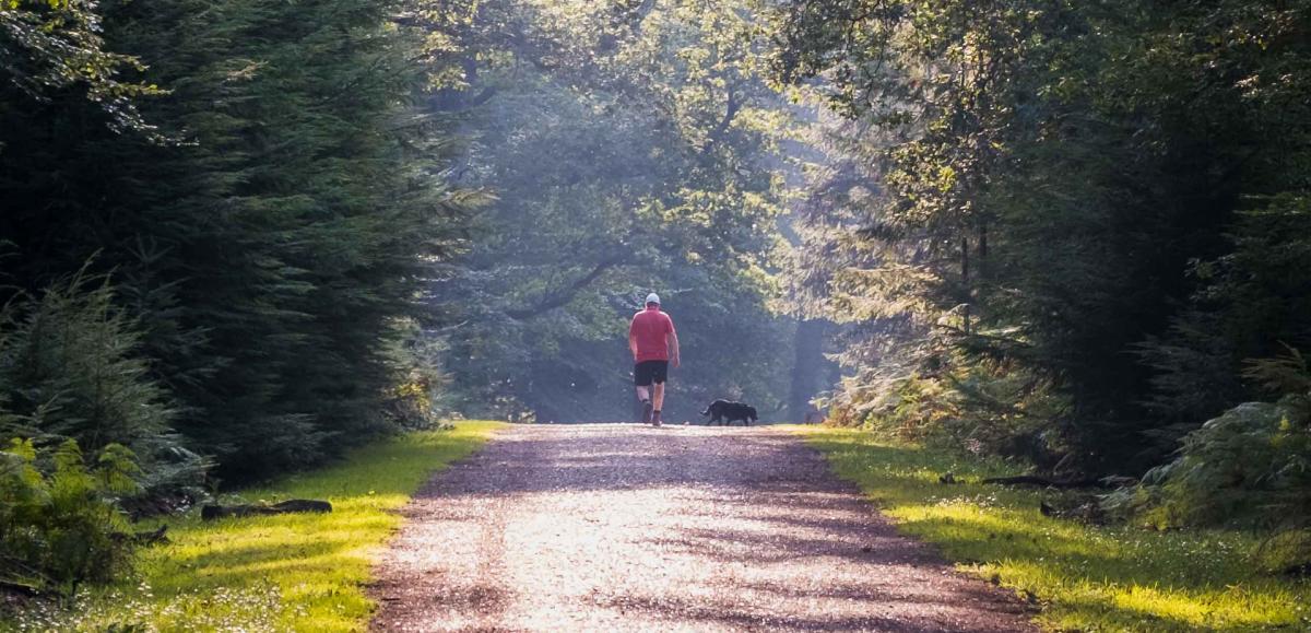 Man walking with his dog on path in the New Forest