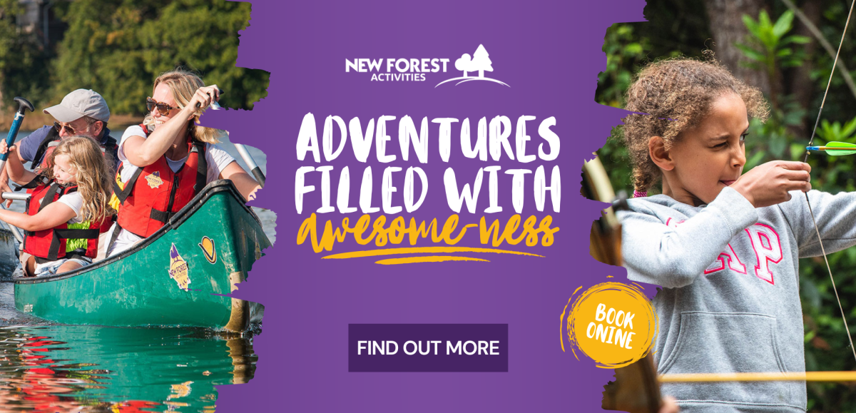 Things to Do New Forest The New Forest