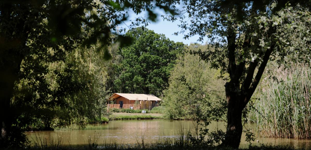 Safari lodge glamping accommodation at Green Hill Farm in the New Forest