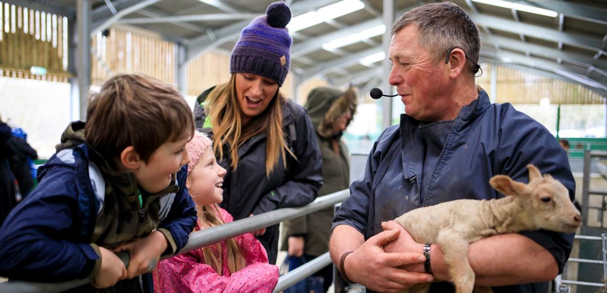 Lambing at Bocketts Farm