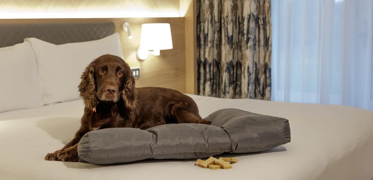 The Hilton Cobham -  a dog-friendly hotel.