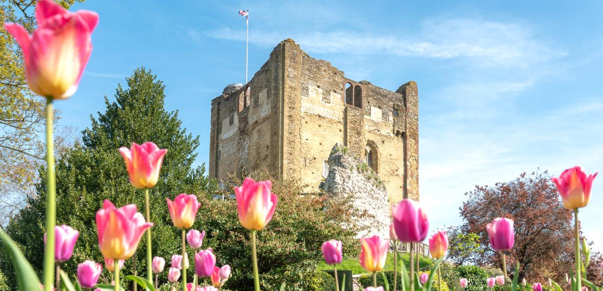 Guildford Castle and Grounds in Spring - image credit Dan Hannington