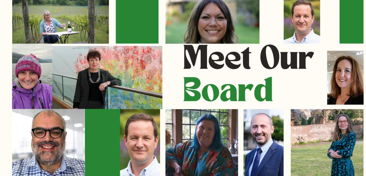 Visit Surrey Board