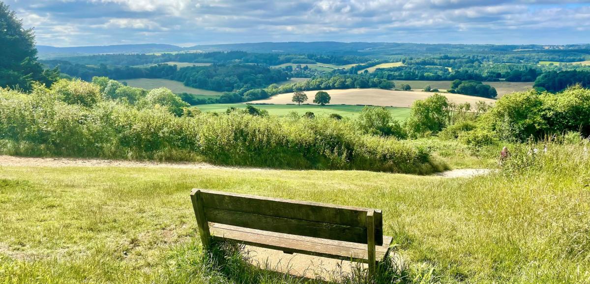 Newlands Corner - bench with views