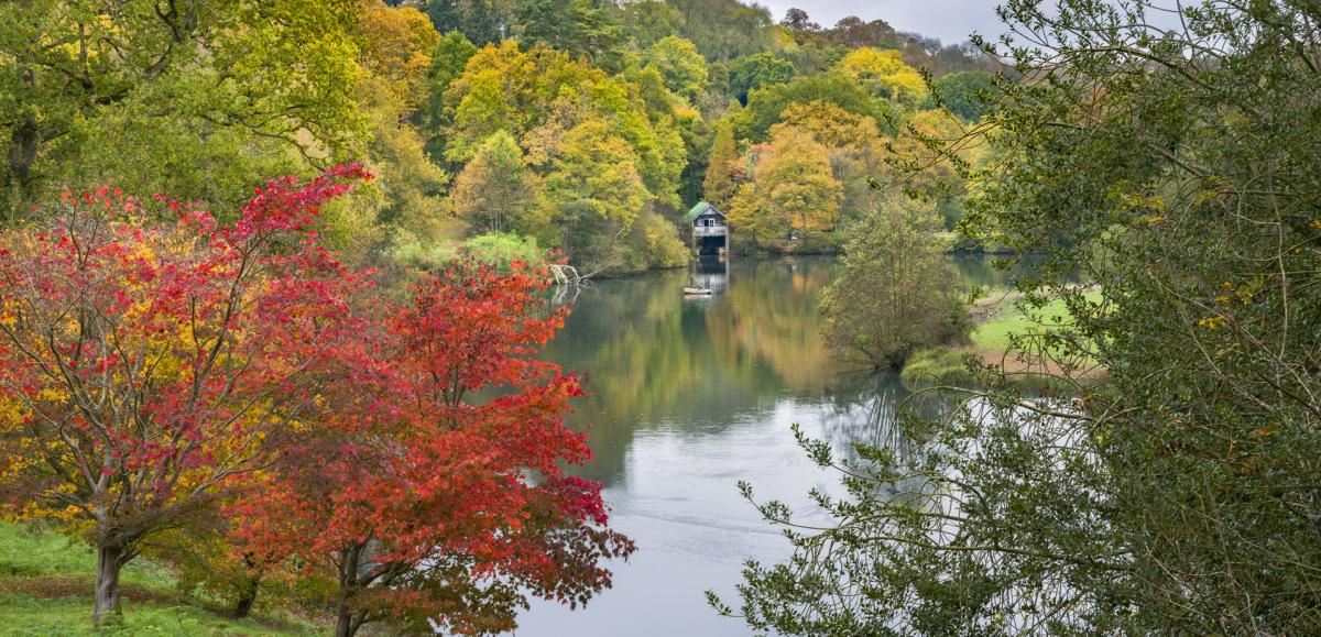 Rowe's Flashe Lake and Boathouse at Winkworth Arboretum