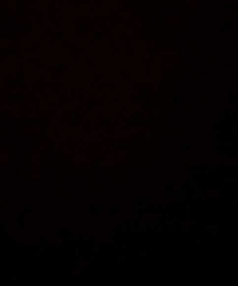 charlottesville albemarle virginia logo