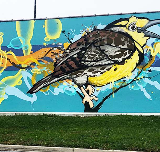 Colorful wall mural of a bird perched on a branch in Overland Park
