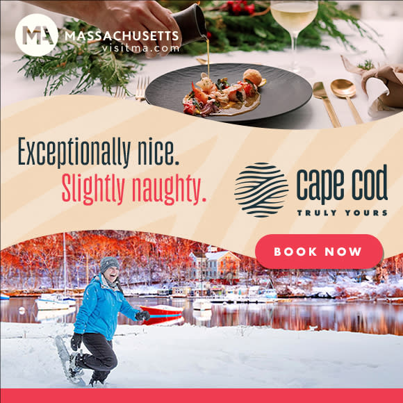 Cape Cod Holiday Digital Ad
