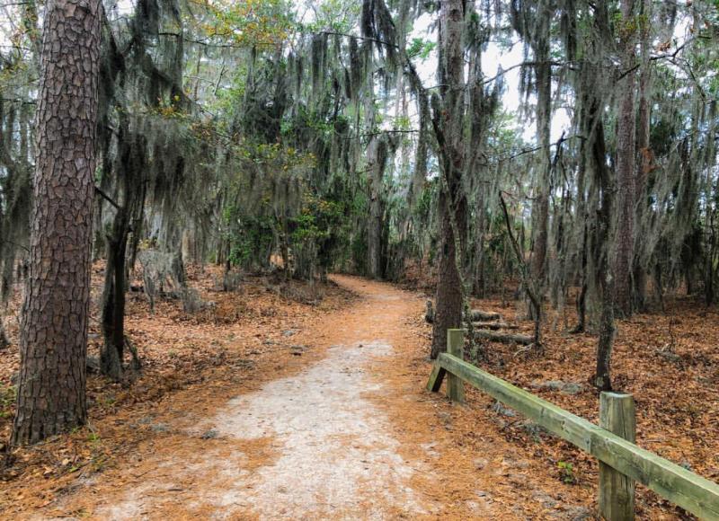 First Landing State Park