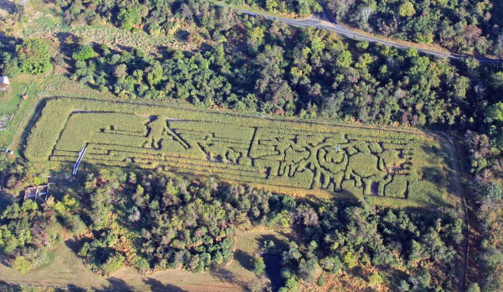 An aerial view of Howell Farm Corn Maze