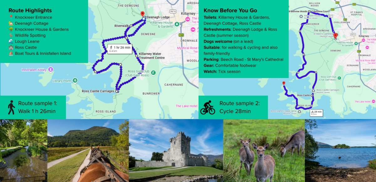 Family Friendly Cycling In Killarney National Park Discover Kerry