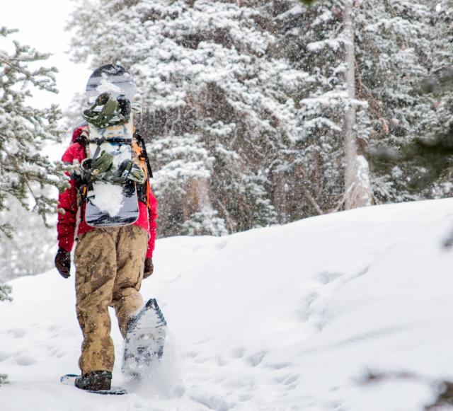 Snowshoeing - @Brickmann