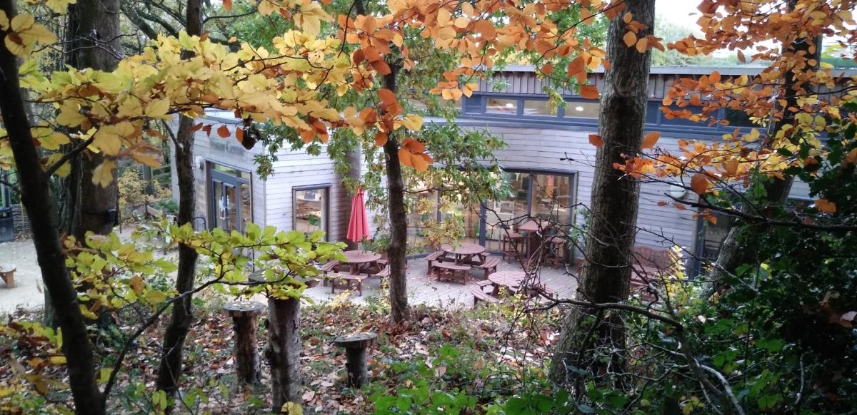 Hardy's Birthplace Visitor Centre at Thorncombe Wood in Dorset