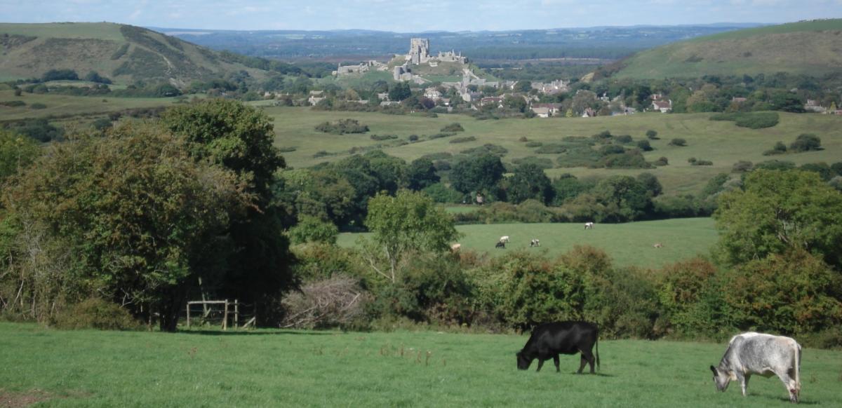 Views of Corfe Castle from Kingston village in Dorset