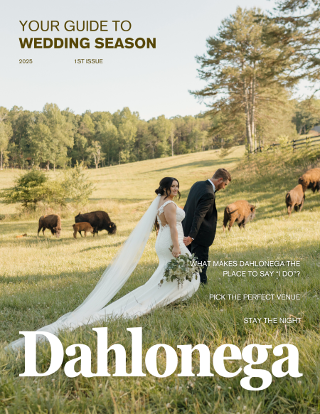 Wedding Guide