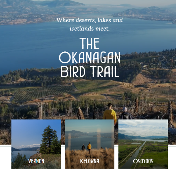 BC Bird Trail