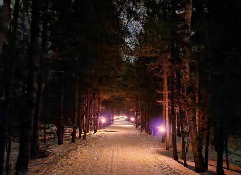 Snow covered trails at night in barkhausen park