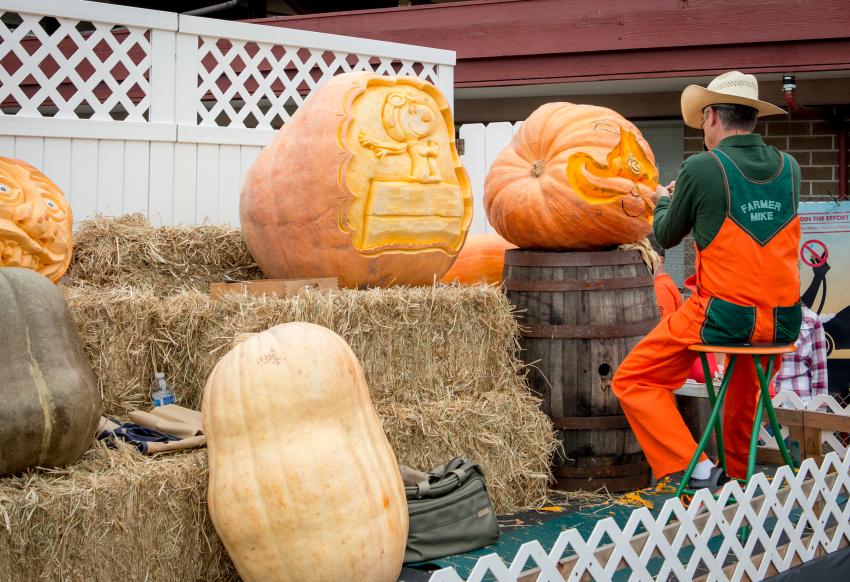 A Guide to Half Moon Bay's Art and Pumpkin Festival