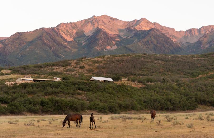 Horseback Riding at Hobble Creek Outfitters