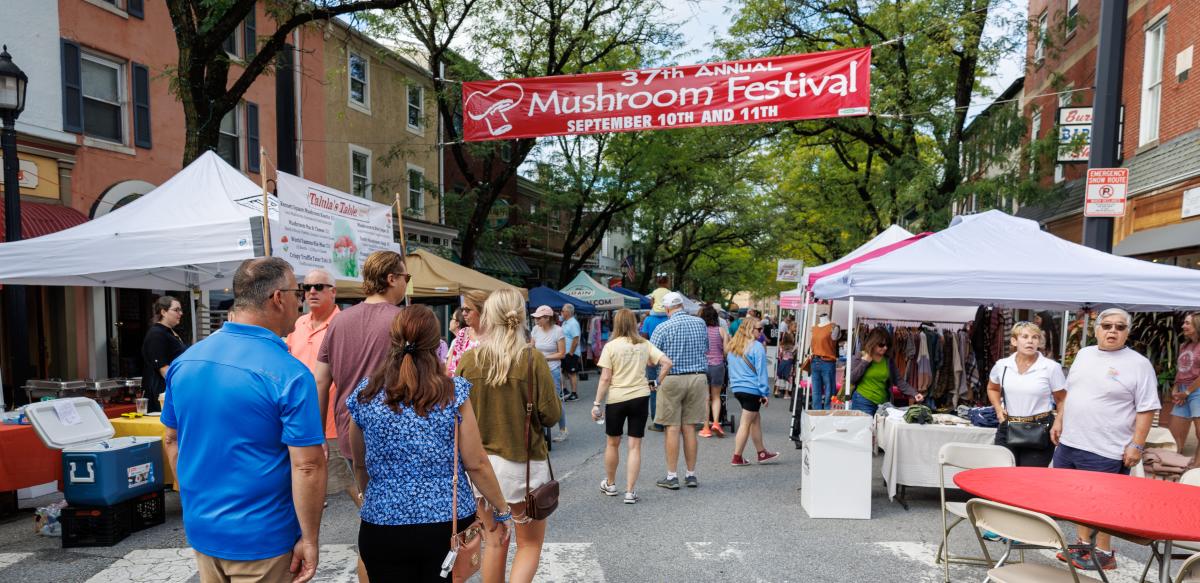 Mushroom Festival