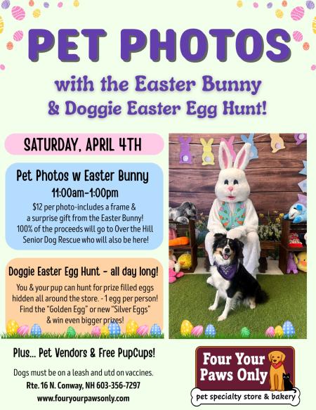 Four Your Paws Only Pet Photos Promo Image