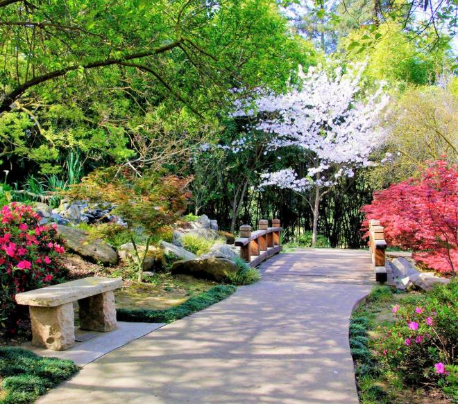 garden pathway surrounded by nature scenery