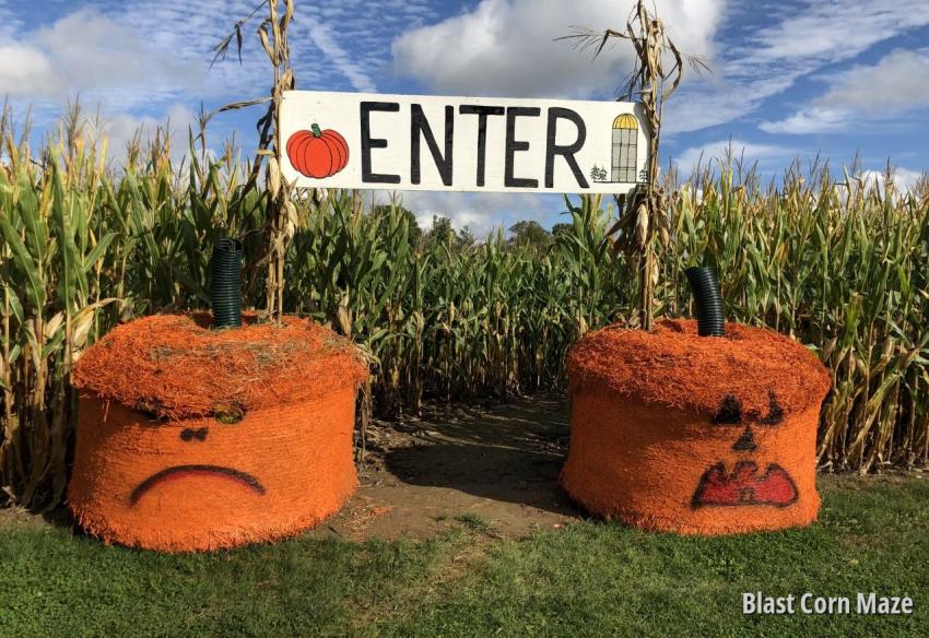 Blast Corn Maze