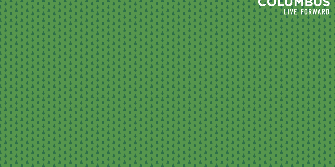 Festive Green Backdrop