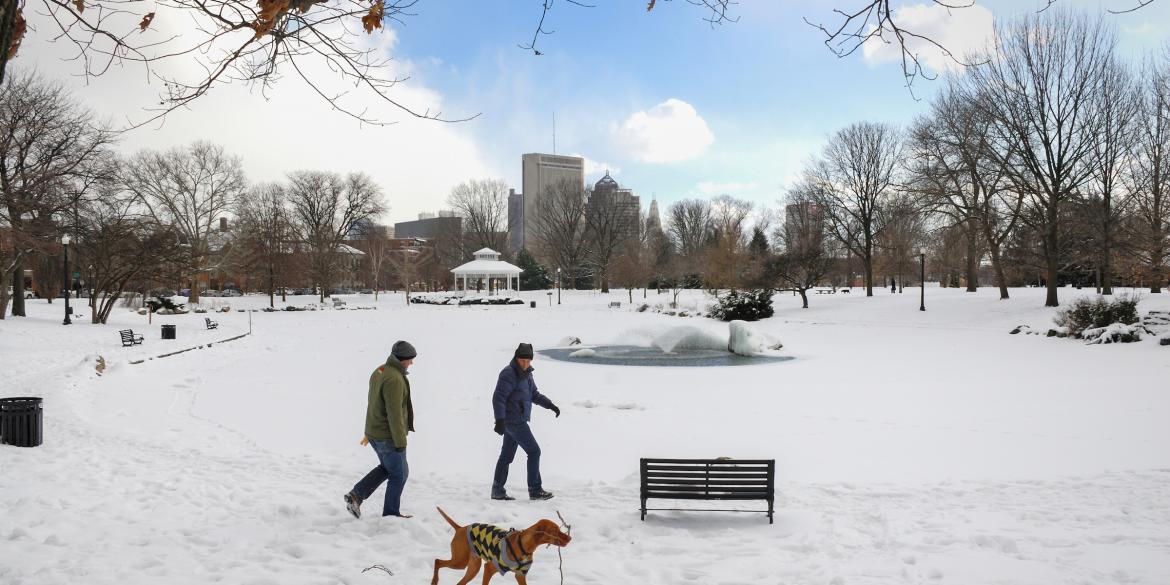 Dog playing in snow at Goodale Park