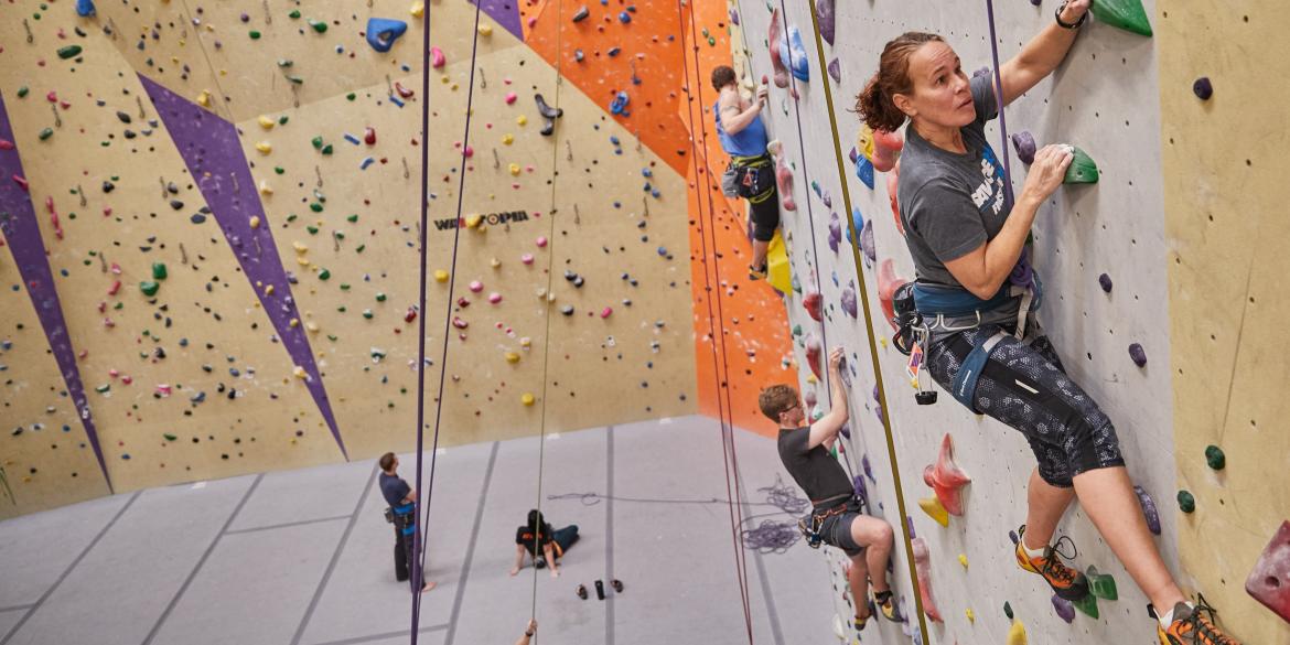 People climbing wall at Vertical Adventures climbing gym