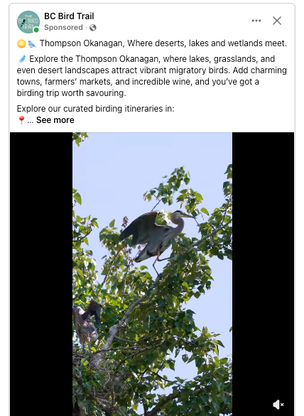 BC Bird Trail 2025/26