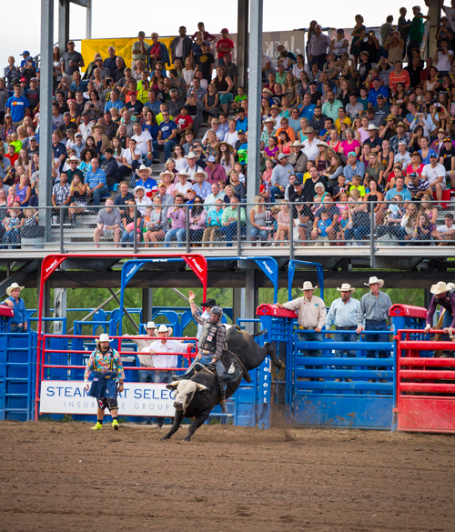 Steamboat Pro Rodeo Series
