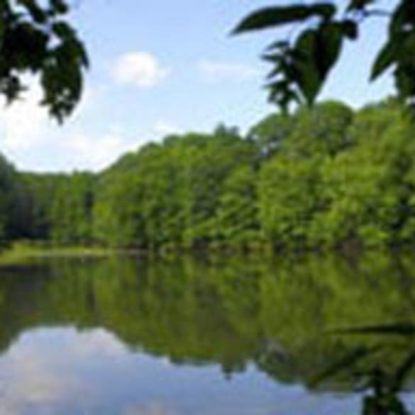 Seven lakes drive hiking store