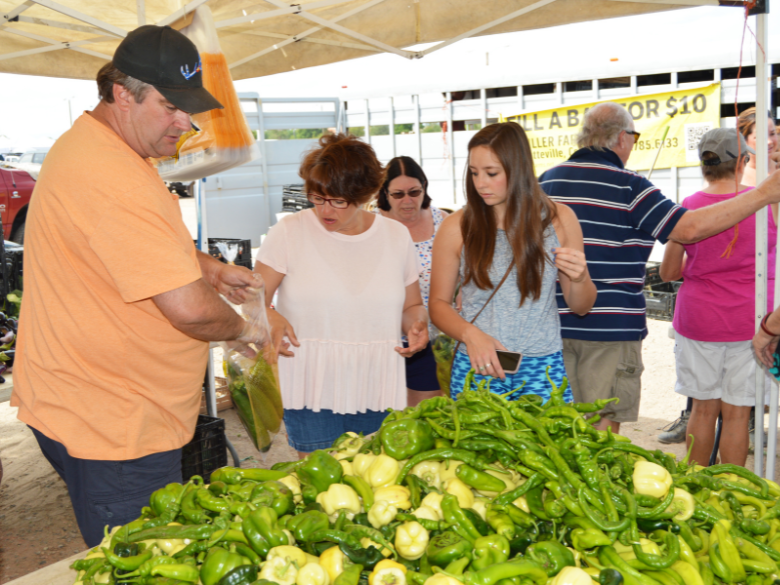 People browsing vegetables at the Longmont Farmer's Market