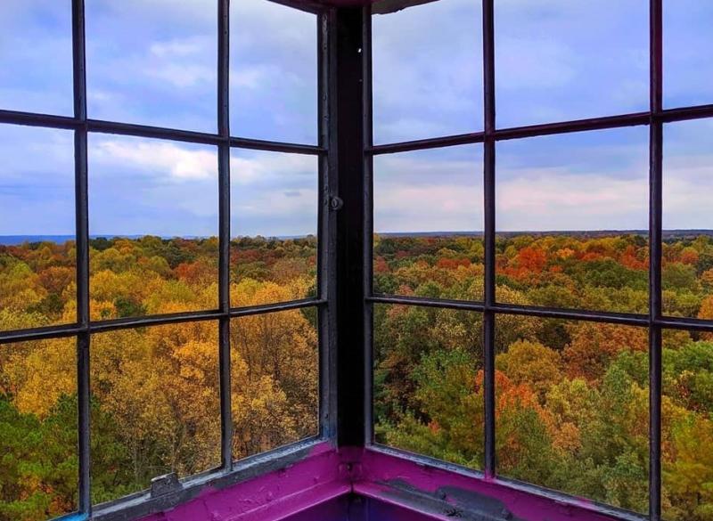 A view of the fall-toned tree tops in the Hoosier National Forest from the Hickory Ridge Fire Tower