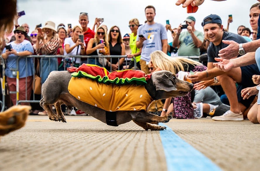 Oktoberfest Zinzinnati @shaemphoto