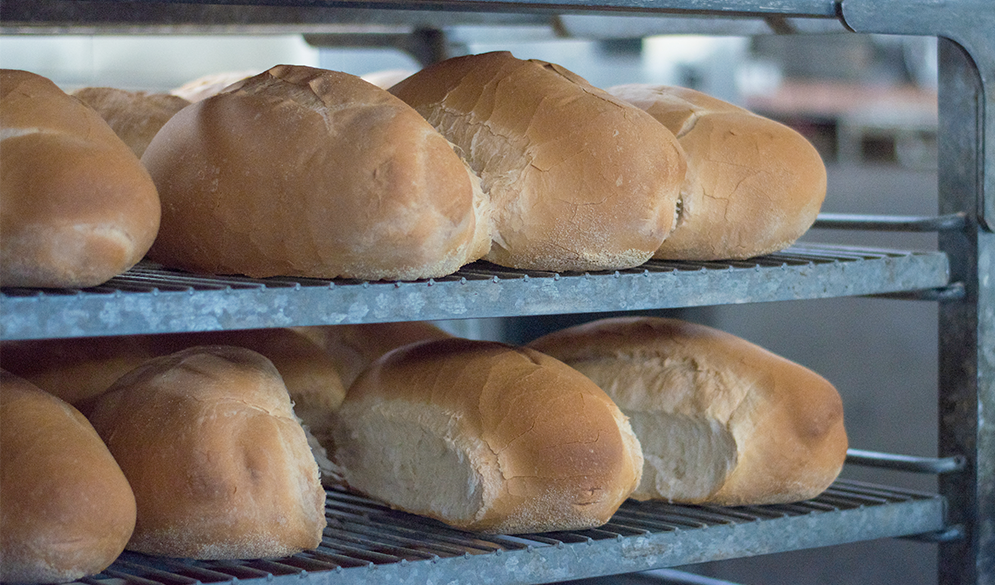 Caporales-Bakery-Rolls-Thanksgiving