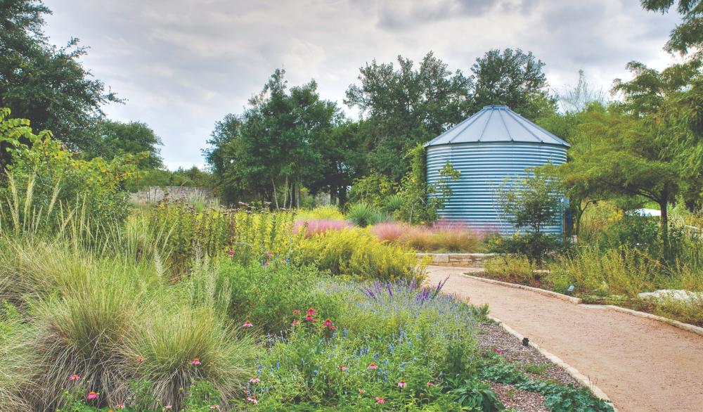 natural Texas garden at the Lady Bird Johnson Wildflower Center