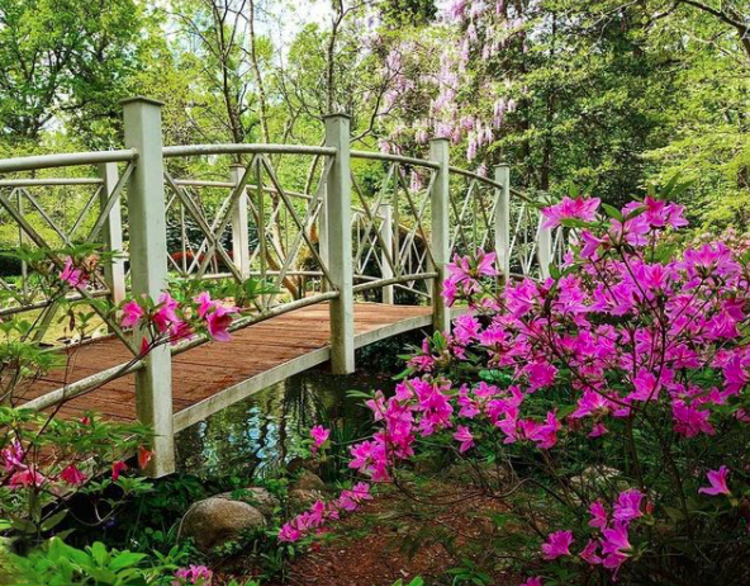 Sayen Botanical Gardens in Princeton, NJ