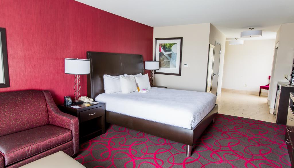 Hilton Garden Inn Guest Room